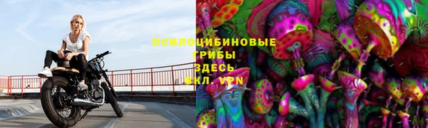 ГАЛЛЮЦИНОГЕННЫЕ ГРИБЫ Алексеевка
