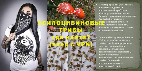 гидропоника Алексин