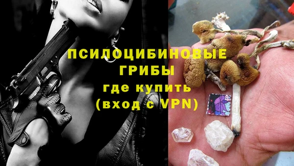 ГАЛЛЮЦИНОГЕННЫЕ ГРИБЫ Алексеевка