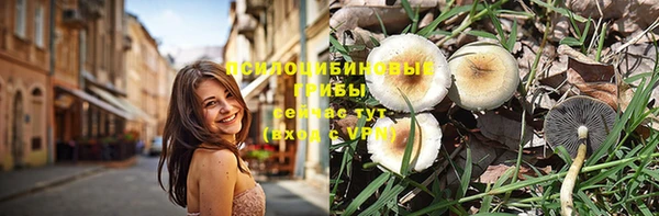 ГАЛЛЮЦИНОГЕННЫЕ ГРИБЫ Алексеевка