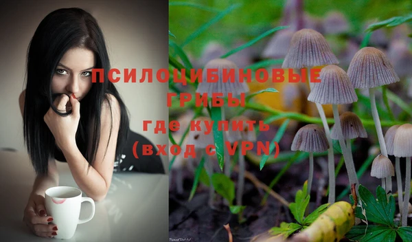 трава Алзамай